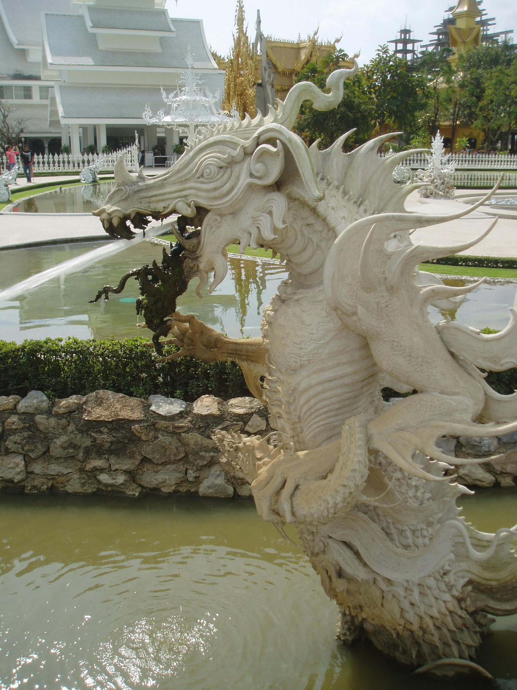 The Fountain and Surrounding Gardens